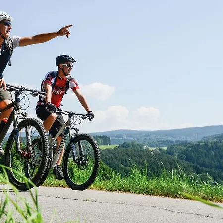 Chalet Tanzboden Fuer 8 Pers Wellness Inkl- Bayerischer Wald شقة