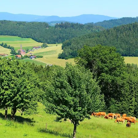 Lägenhet Chalet Tanzboden Fuer 8 Pers Wellness Inkl- Bayerischer Wald